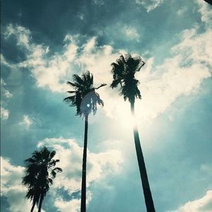 Meet your Posher, Evette